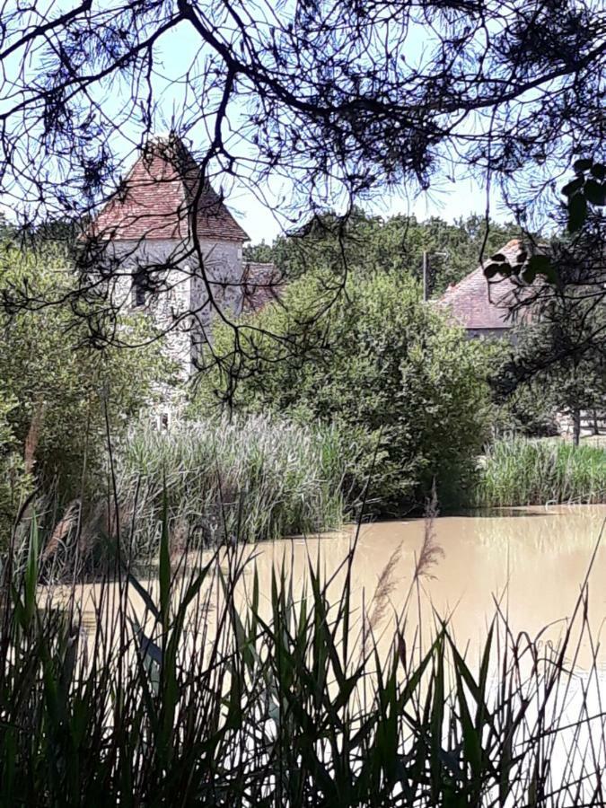 Hotel Le Manoir De Pierre Levee, The Originals Collection Tournon-Saint-Martin Exteriér fotografie